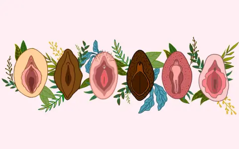 Ilustracja przedstawia siedem różnych warg sromowych, otoczonych liśćmi i gałązkami. Wargi sromowe są w różnych odcieniach skóry i kształtach, symbolizując różnorodność. Niektóre mają delikatne włoski, inne są gładkie. Wizerunki te podkreślają naturaln...