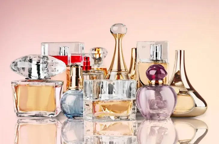 Euphoria EDP czy EDT? Poznaj różnice i znajdź swój zapach