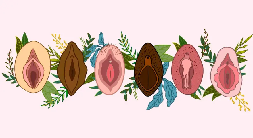 Ilustracja przedstawia siedem różnych warg sromowych, otoczonych liśćmi i gałązkami. Wargi sromowe są w różnych odcieniach skóry i kształtach, symbolizując różnorodność. Niektóre mają delikatne włoski, inne są gładkie. Wizerunki te podkreślają naturaln...